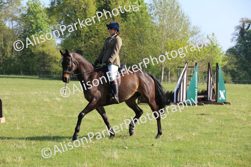 20250427-0557 - Class 17 - Novice Showing