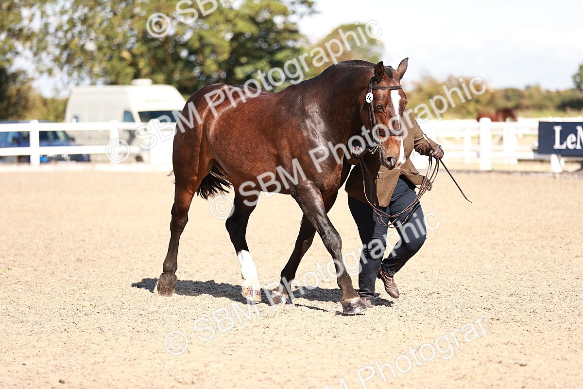 SBM_13245 - Class 405 - IH Show Cob
