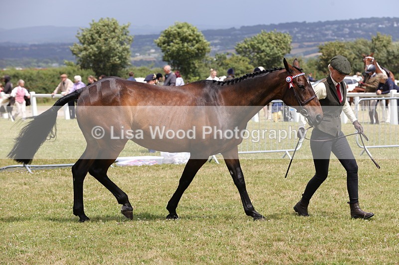 1X9A4905 - Class 35: Veteran In Hand