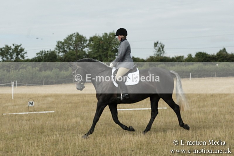 _PJP5620 - Dressage Classes BVRC Show 2018