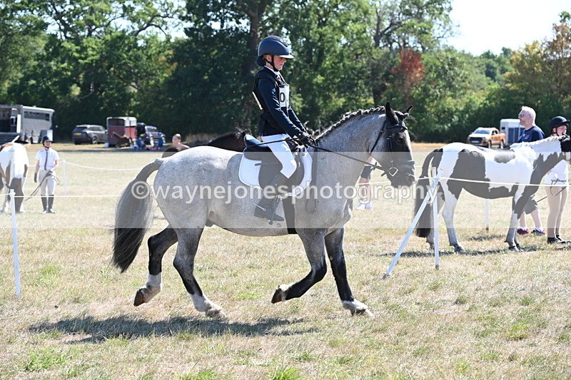 WJ6_8305 - Class 37a Best Loan Pony Ridden
