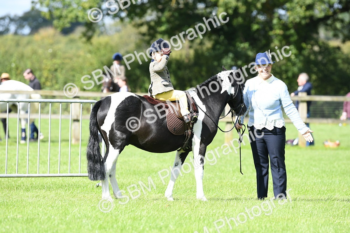 SBM_41166 - S19 - Lead Rein Show & Show Hunter Pony