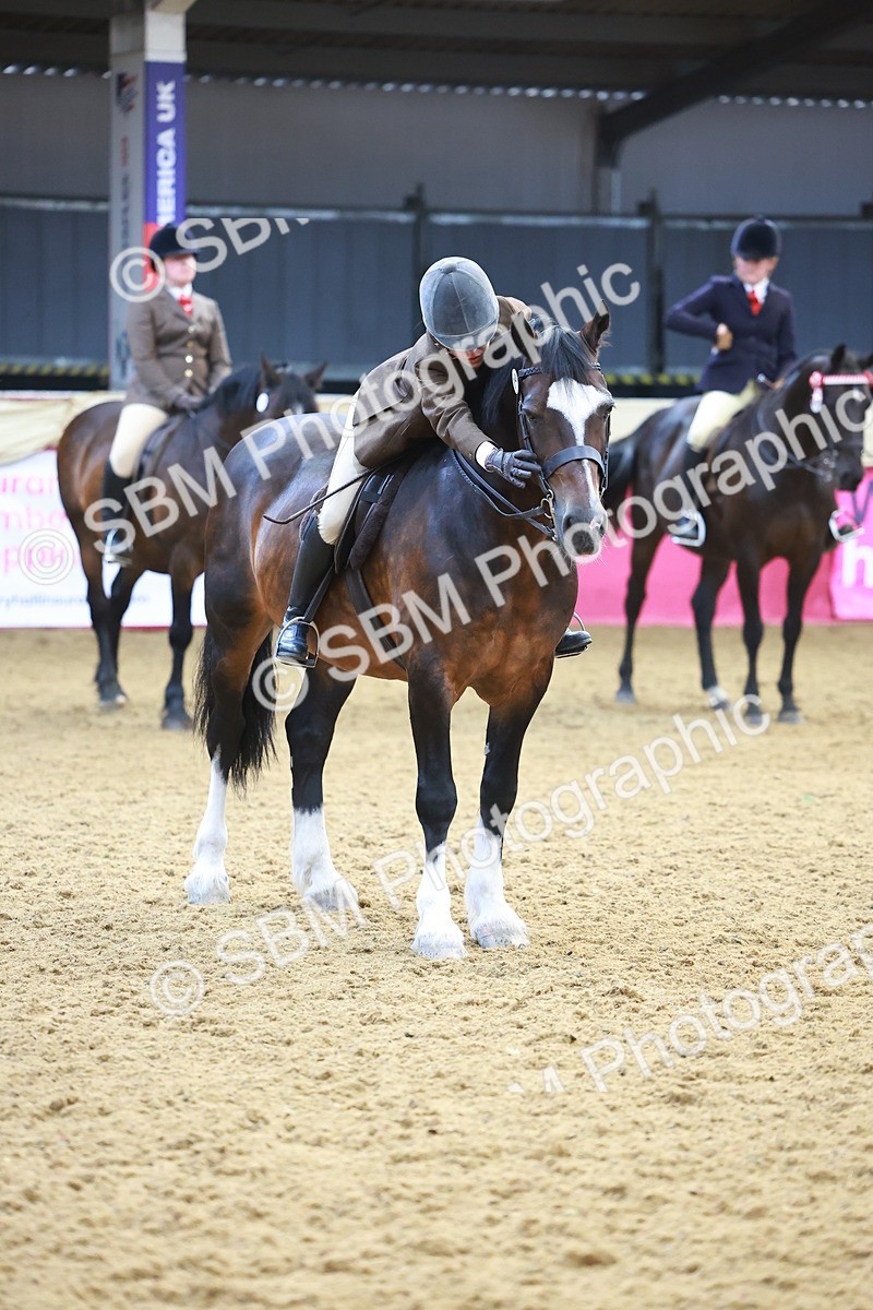 SBM_12656 - Class 103 - HOYS Veteran Qualifier - Ridden Pre Vet