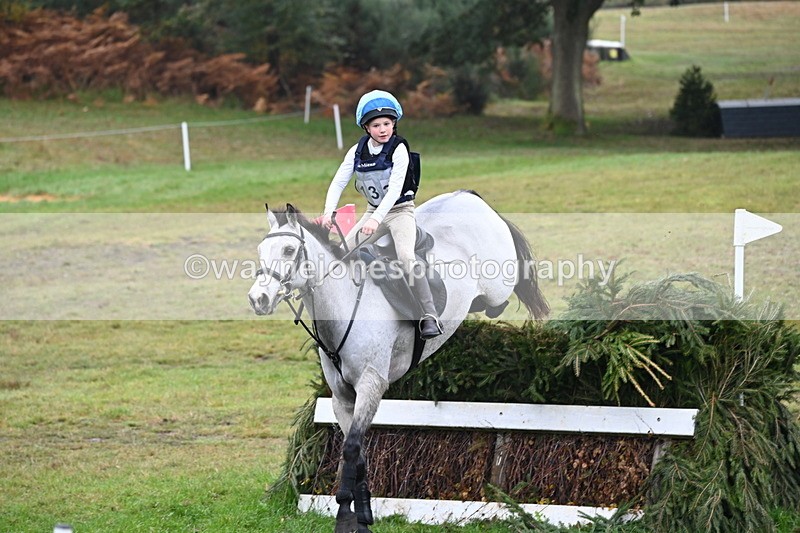 WJ6_2294 - 80cm Cam 1 Time 10:47 to 11:22