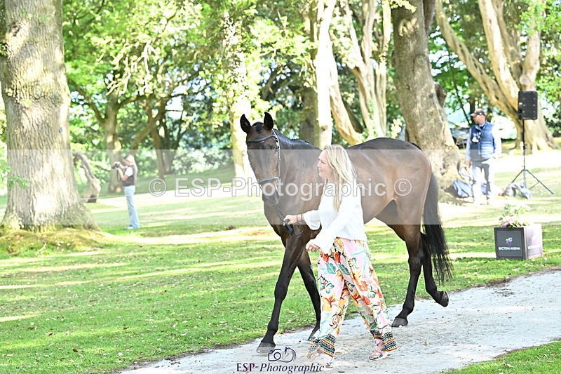 250521A-165744-01435 - C-275-Kat.Raybould-ROYAL.CATCH