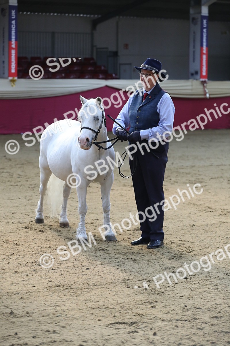 SBM_00572 - class 2a Area IH Veteran