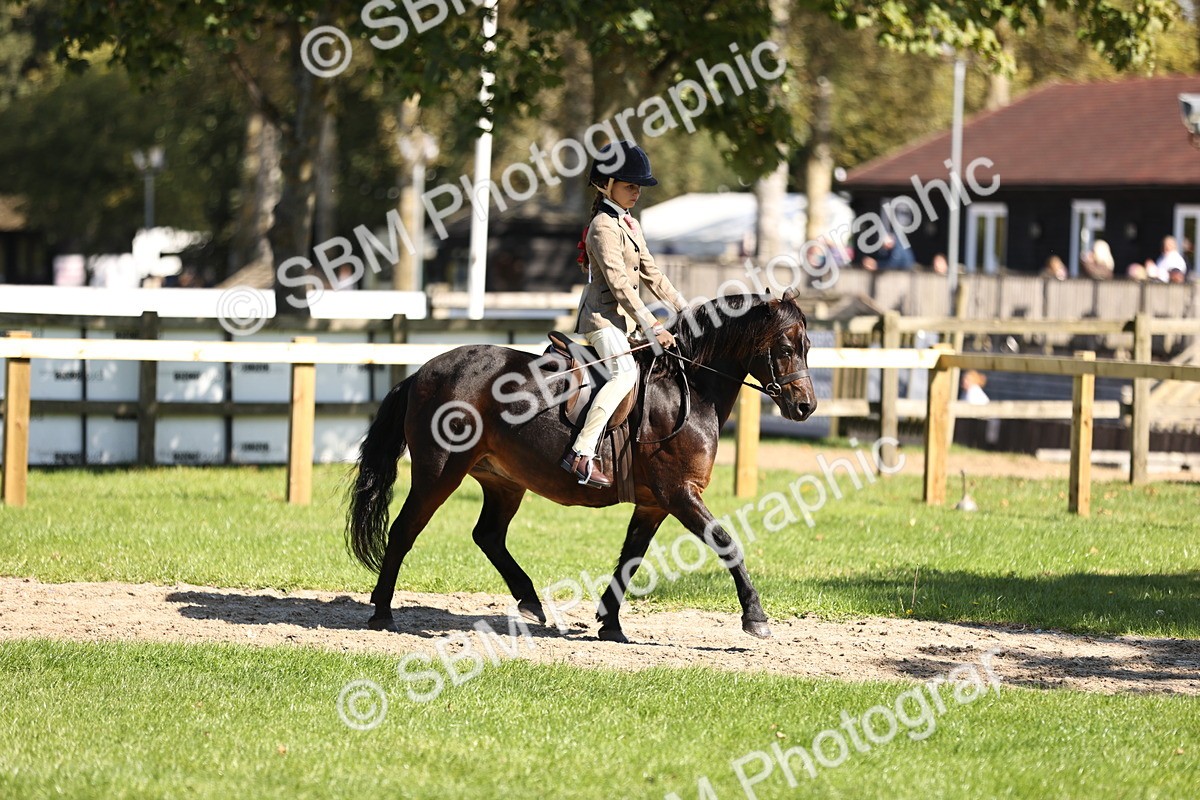 SBM_19333 - S3 - TSR Ridden Pony Showing