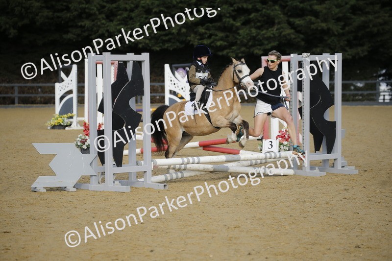 20250622-1135 - 40cm