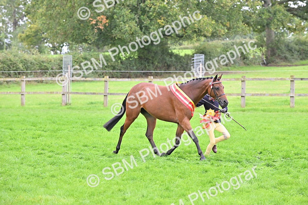 SBM_65061 - In Hand Pony & Younstock Supreme Championship