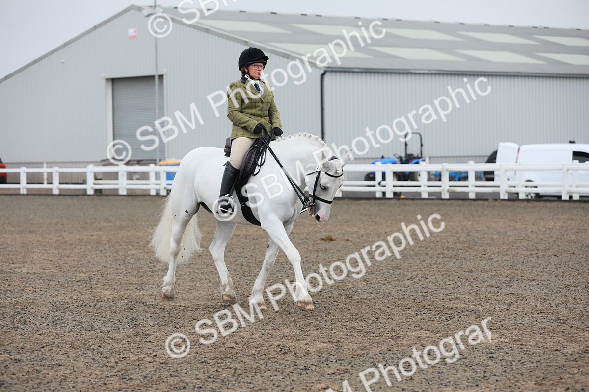 SBM_20320 - Class 803 - Ridden Combination 65+