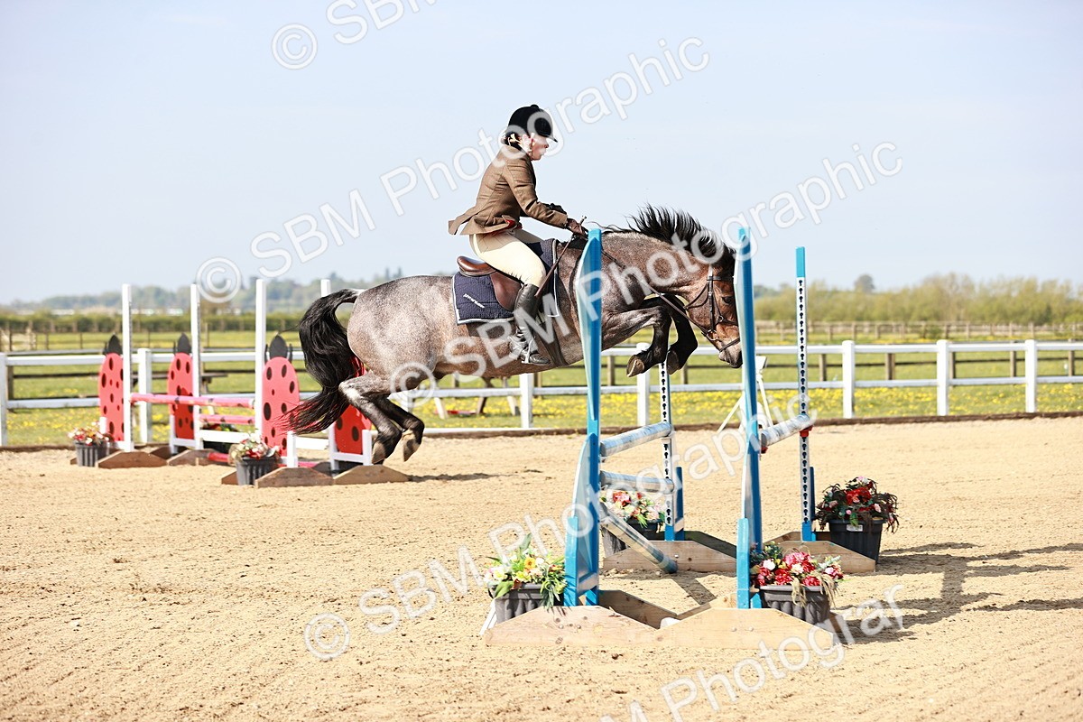  - Class 21 - Senior British Novice - 90cm