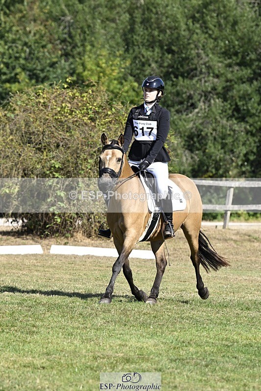 250822A-102639-20234 - DR 10.00 to 11.00