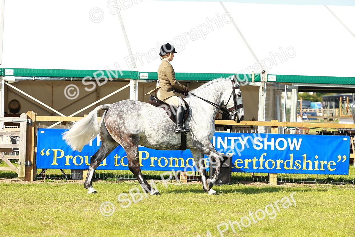 SBM_11761 - Class 66-69 - RIHS Ridden Hunters Inc Small Hunter