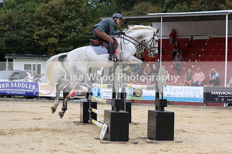 3E7A3242 - Class 9: Senior Foxhunter/1.20 open