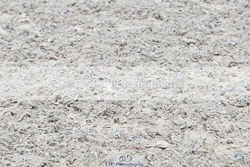 250621-124941-08037 - Cls 27 - Novice 6, 12.20 to End