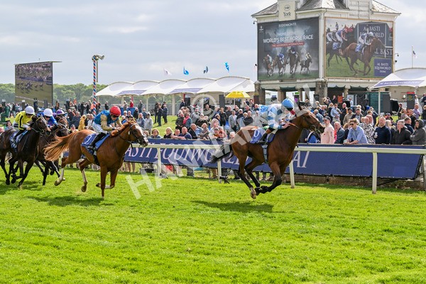 150525-Pride Of Arras-4701 - Race 4 3.45pm Al Basti Equiworld Dubai Dante Stakes