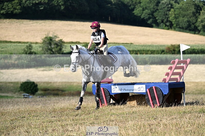 250803A-181357-18638 - R-824-Poppy.Wilkinson-DAISY.DER.BLUME