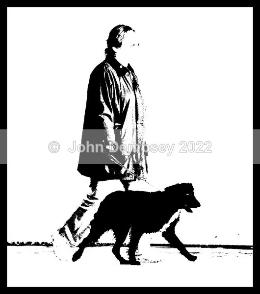 Gentle Walk - Walking the Dog