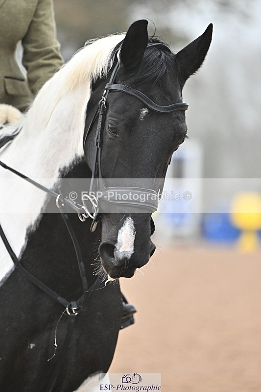 241103A-112450-07029 - SUN Cls 18 British Novice and 90cm Open