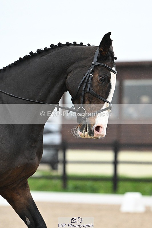 241103-135608-02361 - Prelim 2 - 13.23 to 14.33