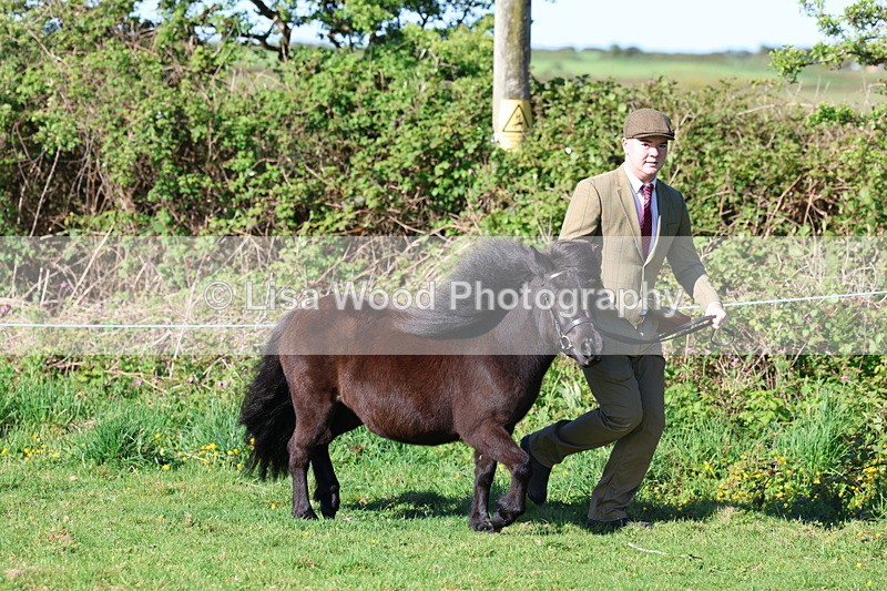 3E7A8339 - Class 12: M & M Small Breeds