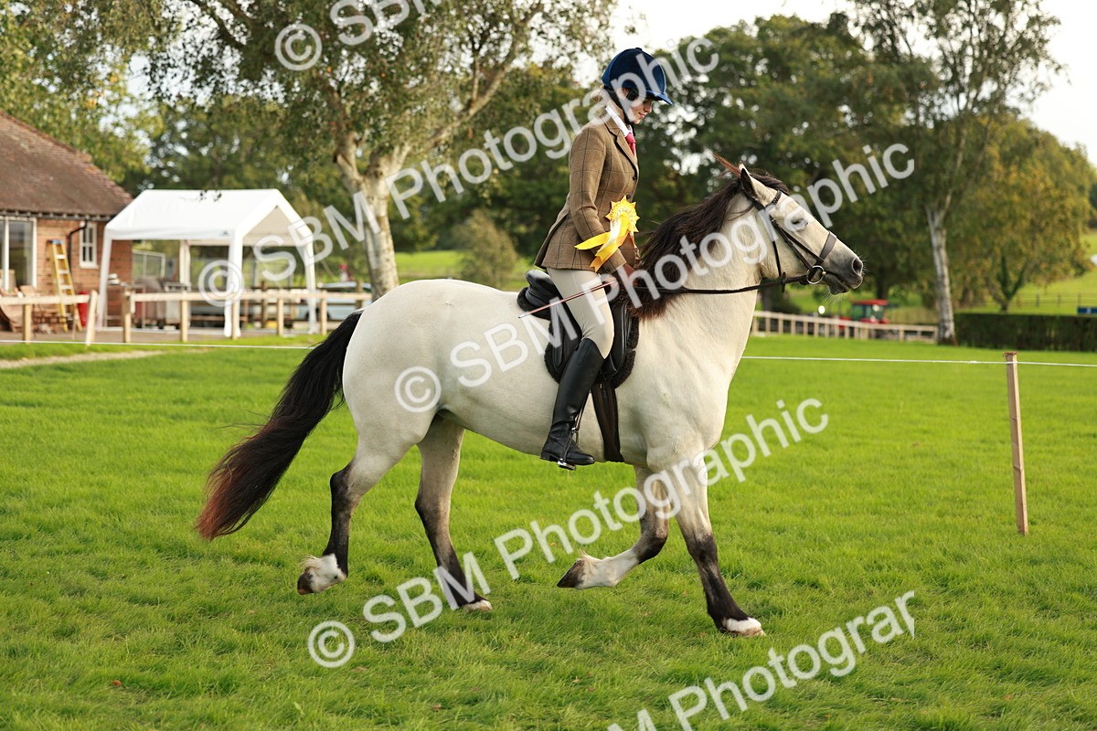 SBM_28935 - S7 - Novice & Newcomer Ridden Pony