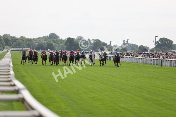 yr18082021r1-53 - Race 1 1.50pm Sky Bet & Symphony Group Stakes