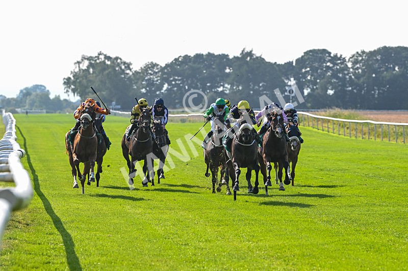 300824-Race 5-Shesashambles-6165 - Race 5