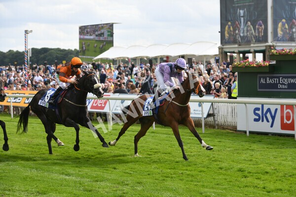 yr11062022r8-26 - Race 8 5.25pm Clean up with PPS Stakes