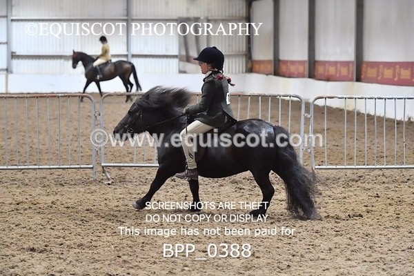 BPP_0388 - RING 1