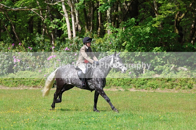 3E7A2685 - Working Hunter Championship