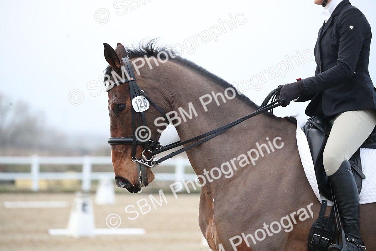 SBM_005802 - Elementary 1