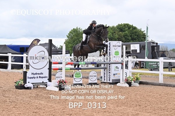 BPP_0313 - CLASS 26 SUN 5 Year Old Non Qualifier
