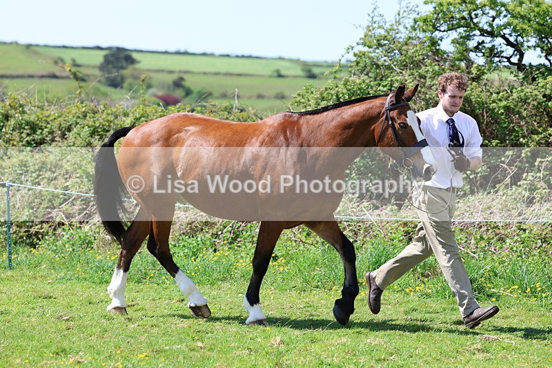 3E7A0272 - Class 19: Best Coloured in Hand