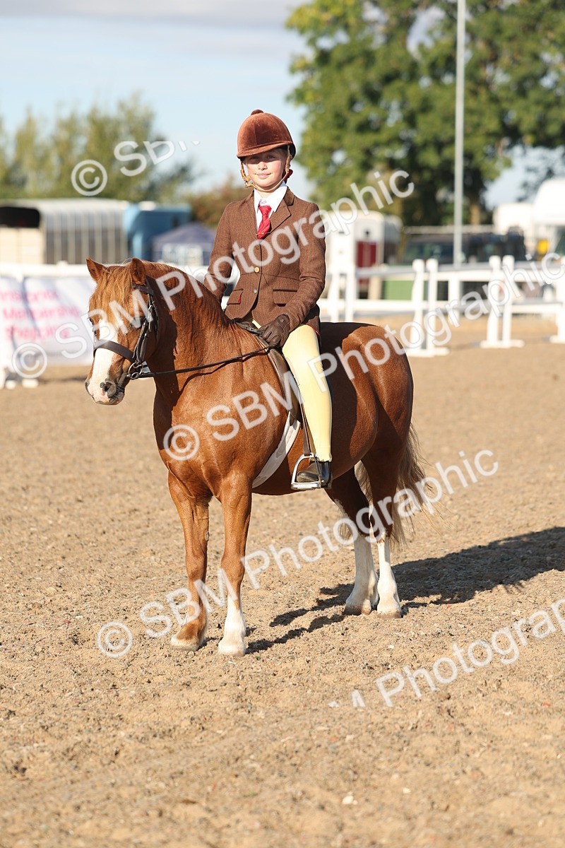 SBM_10918 - Class 301 - Ridden M&M Small Breeds