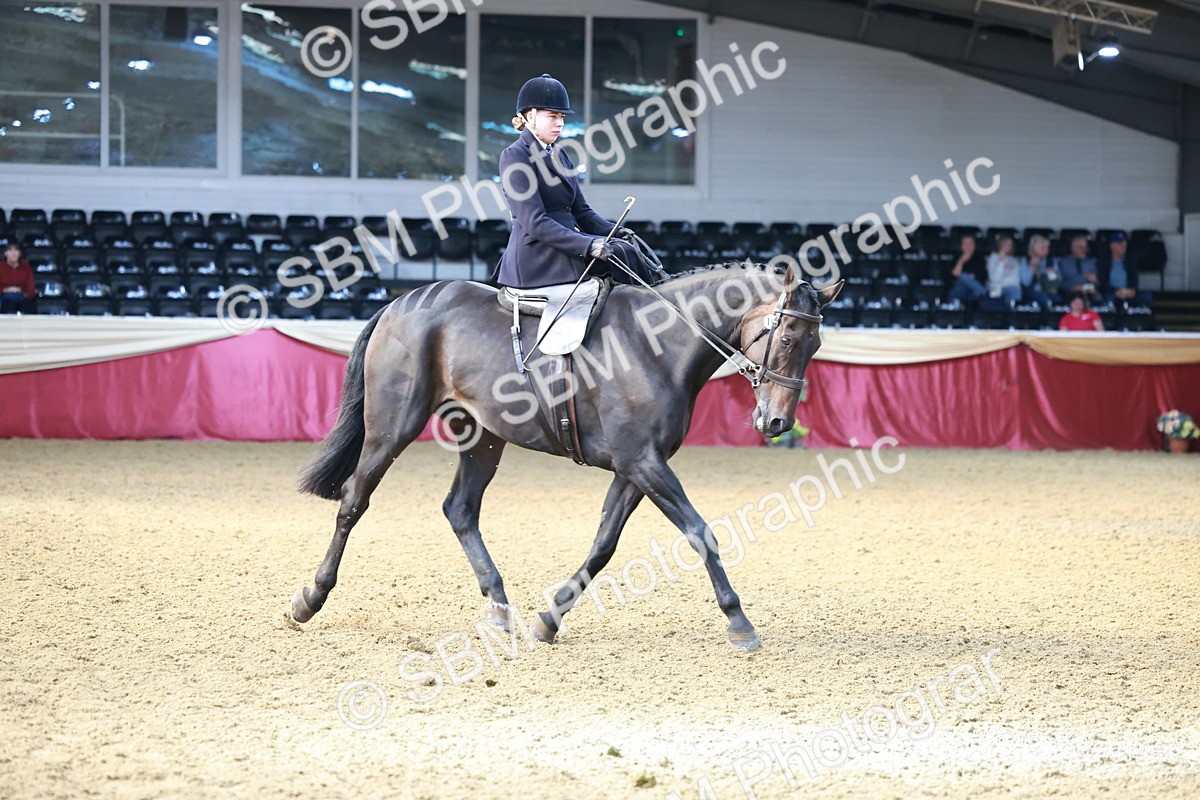 SBM_11948 - Class 102 - Equitation (Best Rider) Adult