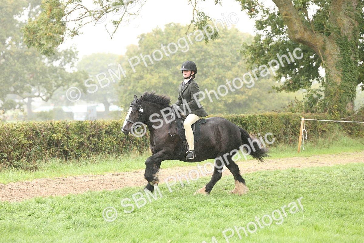 SBM_72745 - S70 - Traditional Cob Ridden