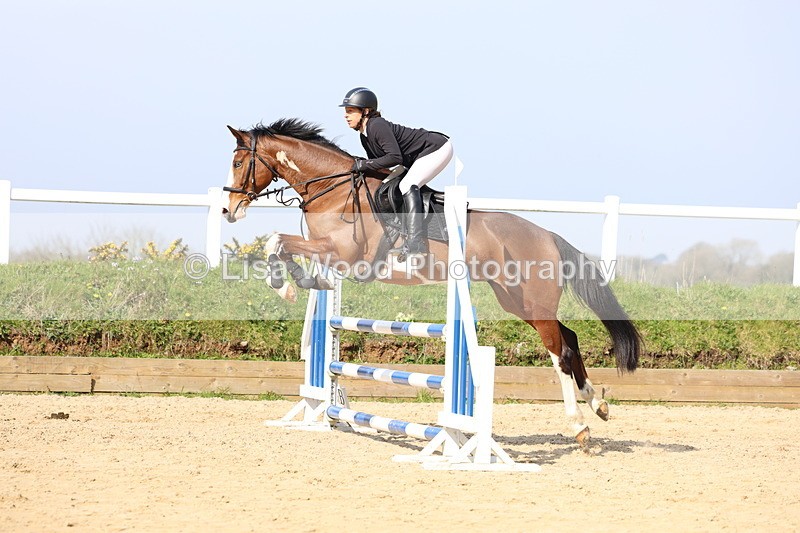 3E7A6543 - Class 4: Senior British Novice/90cm open