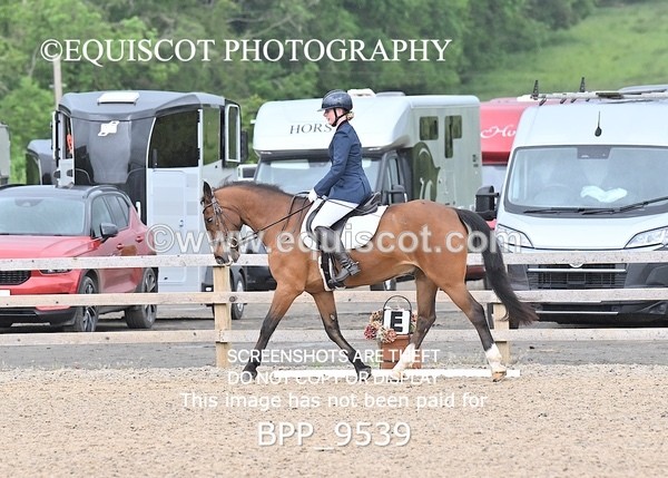 BPP_9539 - NO COMPETITOR NUMBER X 2