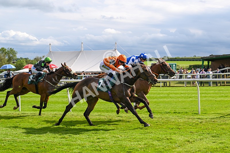 180624-Race 5-Sea The Dream-0588 - Race 5