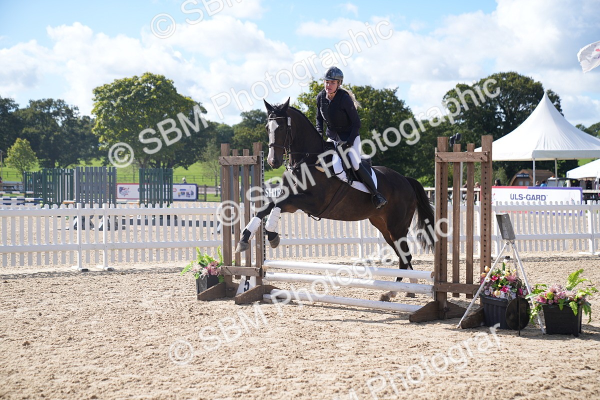 SBM_02541 - J54 Clear Round 45cm