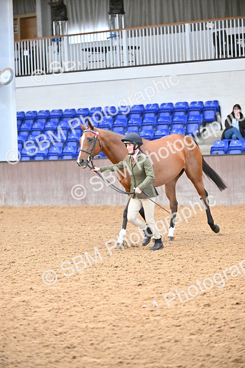 SBM_000135 - Class 6 - BSHA In Hand Racehorse to Show Horse