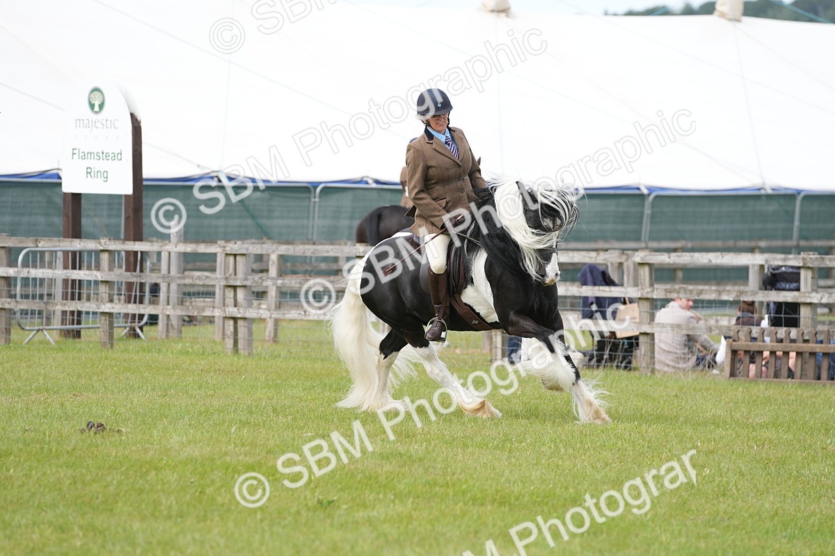 SBM_17278 - Class 107-108 - LIHS BSPS Performance Coloured Horse Pony
