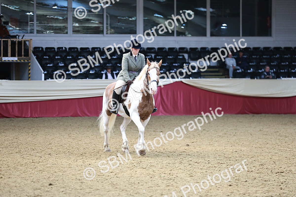 SBM_03671 - Class 6A Area Ridden Pre-Vet