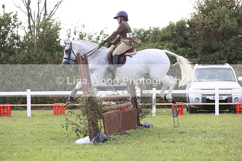 JPP_4166 - Class 25: Working Show Horse