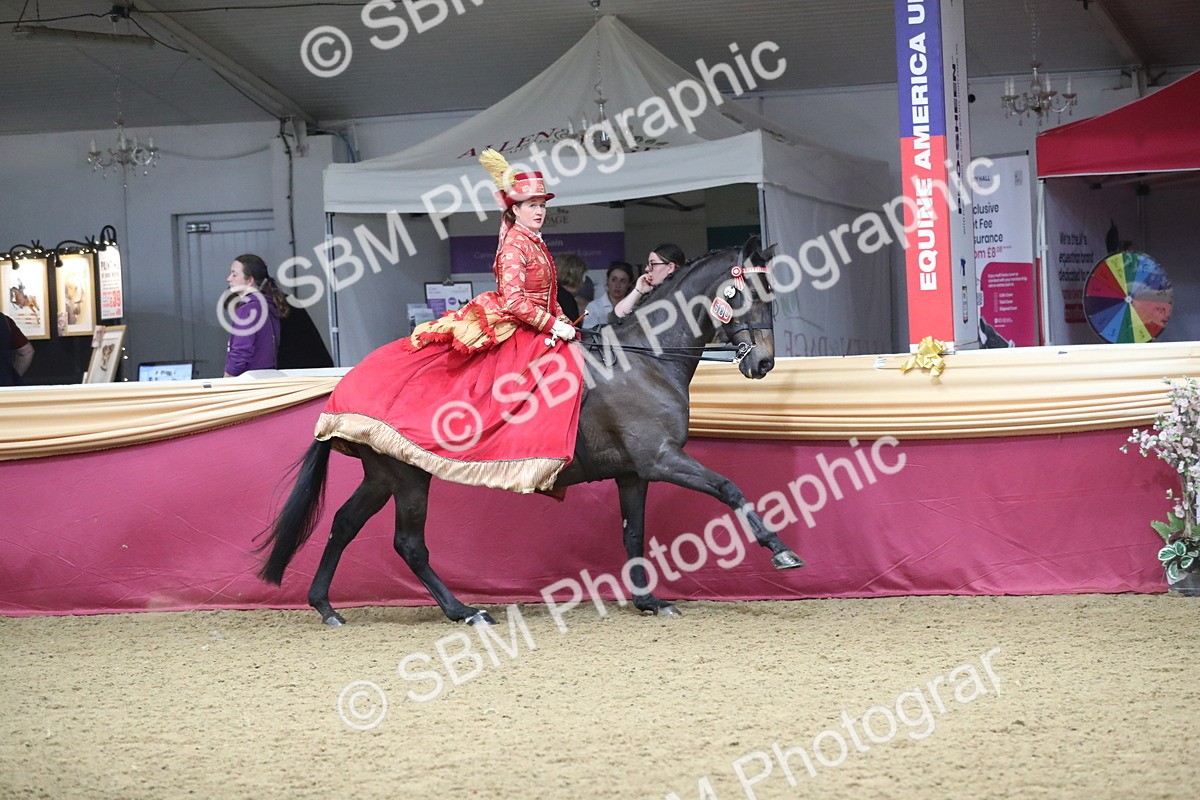 SBM_12140 - Class 107 Ridden Costume- Astride Adult (20+)