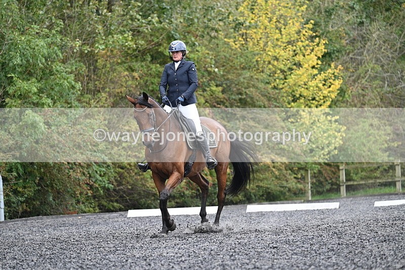 WJ7_6114 - Time 14:10 to 14:45