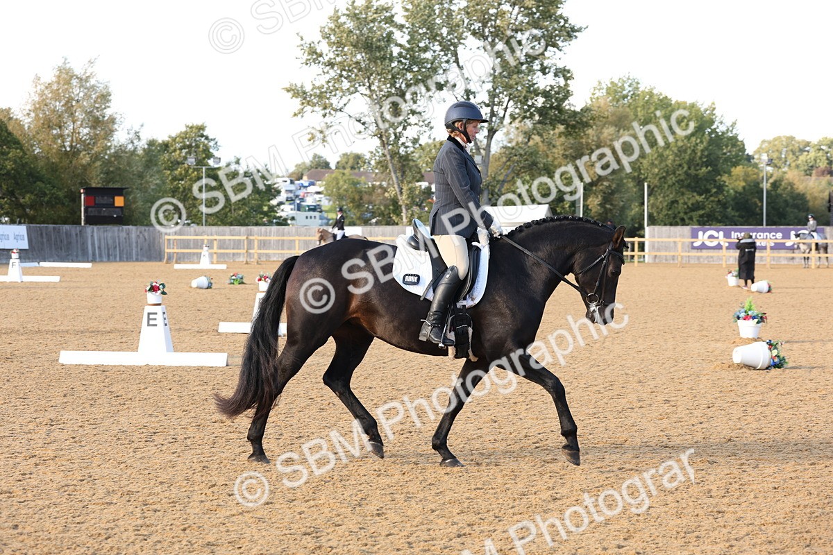 SBM_28250 - D20 - Grand Tour Championship Elementary 3