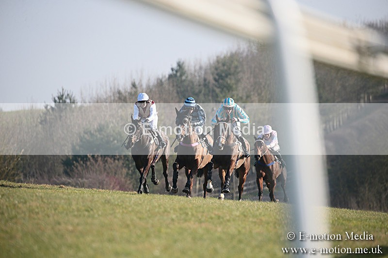 PtP 230219 437 - Vine & Craven Point-To-Point - Barbury 23/02/19