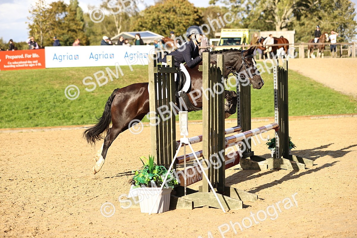 SBM_51936 - J10 - Junior Pony 75cm Championship
